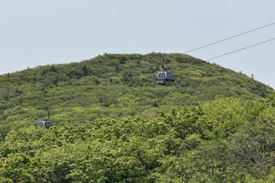 [현장취재] 제11회 하이원 하늘숲길 걷기축제 가족코스(7km) 체험기