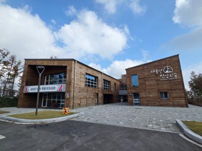 태백 매봉산 천상의 숲